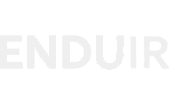 Enduir Cybersecurity logo
